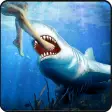 Evil White Shark Survival Game