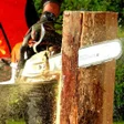 程序图标：Chainsaw Sounds