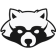 程序图标：RaccoonLine VPN