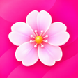 程序图标:Momento Photo Gallery Ho…