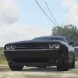 Race Muscle: Dodge Challenger