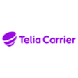 Icon of program: Telia SD-WAN