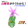 プログラムのアイコン：山野草がすぐわかる