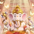 プログラムのアイコン：Elephant King
