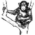 أيقونة البرنامج: Chimp Test Bot