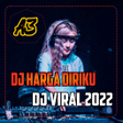 Programın simgesi: DJ Aku Lagi Goyang Pargoy…