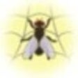 Ikona programu: WebLight