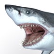 أيقونة البرنامج: Talking Great White : My …