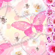 程序图标：RosePapillon for HOMEきせかえ…