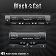 Icono de programa: Black Cat BSPlayer Skin