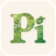 Ikon program: Pi your personal AI