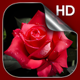 Icon of program: 3D Rose Live Wallpaper HD