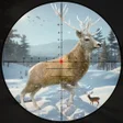 Иконка программы: Animal Hunting Games 3D