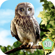 Ícone do programa: Wild Owl Simulator 3D