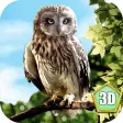 Wild Owl Simulator 3D