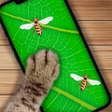 プログラムのアイコン：Toy For Cats - Games For …