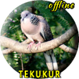 Icon of program: Tekukur Pikat MP3