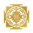 أيقونة البرنامج: Cosmic Insights Astrology