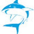 Ícone do programa: Bull Shark
