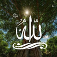 Icon of program: أسماء الله الحسني