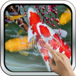 Icon of program: Interactive Koi Fish 3D