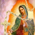 Icon of program: Holy Rosary with Audio Of…