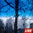 程序图标：Rain Live Wallpapers