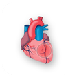 Иконка программы: EASY HEART