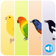 Ikon program: Masteran Burung ( 500 leb…
