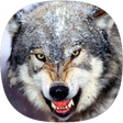 Icon of program: Wolf Ringtones