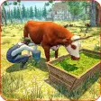 Animal Farm Simulator Game 3D