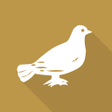 Symbol des Programms: Siasat Daily