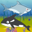 程序图标：Shark Feed