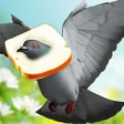 Ikona programu: Flying Bird Pigeon Games