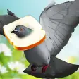 Flying Bird Pigeon Games