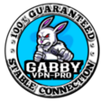 プログラムのアイコン：GABBY VPN-PRO