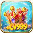 Icoon van programma: CV999Umbrawing