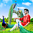 Icoon van programma: Peacock photo editor fram…
