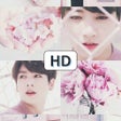 程序图标：Cute Aesthetic BTS Wallpa…