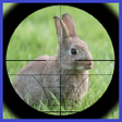 Ícone do programa: Rabbit Hunter