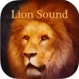 Lion Sounds - Lion Roaring Lion Music