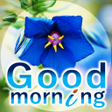 Ikona programu: Good Morning Inter