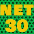 Иконка программы: NET-30 Terms for Woocomme…