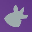 Icon of program: Banded Armadillo Rock Clu…