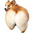 Incroyable du cul icon