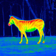 Иконка программы: Thermal Camera Real Simul…