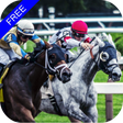 プログラムのアイコン：Flat Race Horse Racing