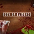 Programın simgesi: Body of Evidence