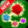프로그램 아이콘: Rose Paradise