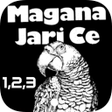 Programikonen: Magana Jarice littafi na …